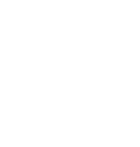 Spedi CMR Insights Logo